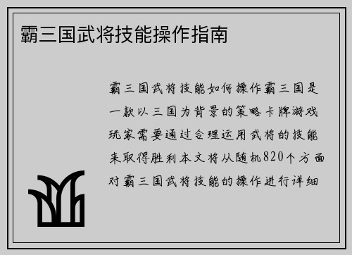 霸三国武将技能操作指南