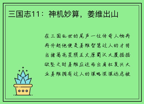 三国志11：神机妙算，姜维出山